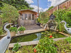 Pond- click for photo gallery